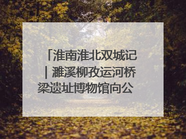淮南淮北双城记｜濉溪柳孜运河桥梁遗址博物馆向公众开放 可沉浸式触摸历史